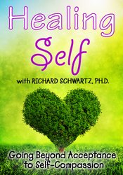 Richard C. Schwartz - Healing Self: Going Beyond Acceptance to Self-Compassion digital download