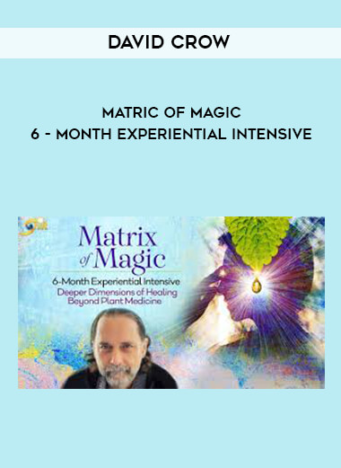 David Crow - Matric of Magic - 6 - Month Experiential Intensive digital download