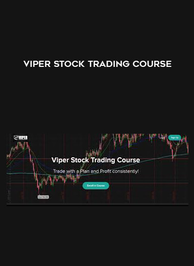 Viper Stock Trading Course digital download
