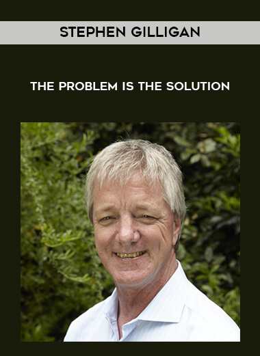 Stephen Gilligan - The Problem Is The Solution digital download