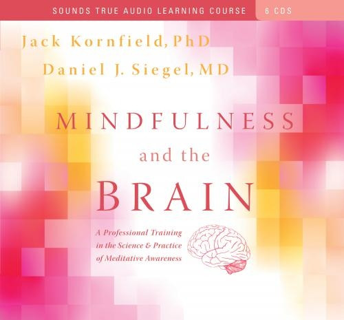 Daniel J. Siegel - MINDFULNESS AND THE BRAIN digital download