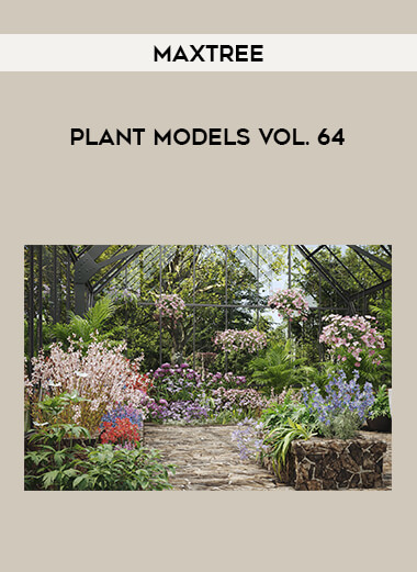 Maxtree - Plant Models Vol. 64 digital download