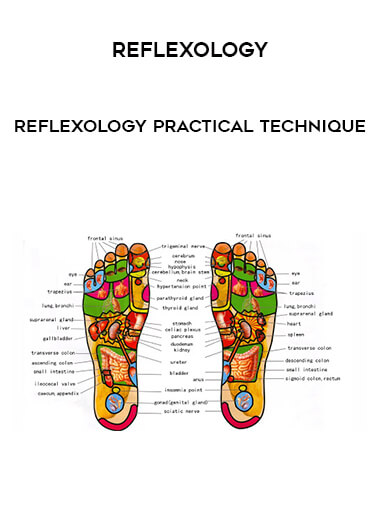 Reflexology - Reflexology Practical Technique digital download
