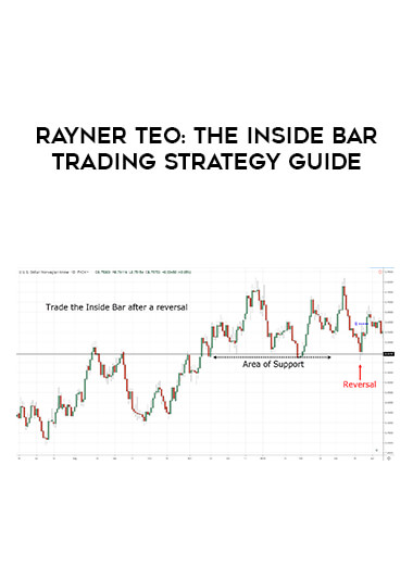 Rayner Teo : The Inside Bar Trading Strategy Guide digital download
