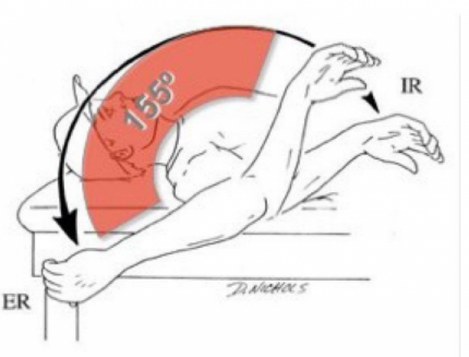 Mike Reinold - Inner Qrde - 3 Ways to Gain Shoulder Internal Rotation digital download