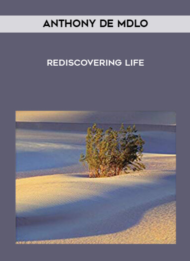 Anthony de Mdlo - Rediscovering Life digital download