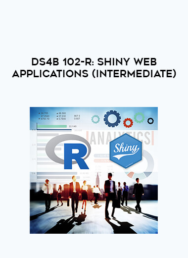 DS4B 102-R: Shiny Web Applications (Intermediate) digital download