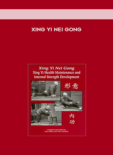 Xing Yi Nei Gong digital download