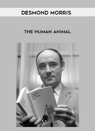 Desmond Morris - The Human Animal digital download