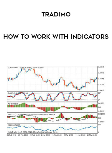 Tradimo - How to work with indicators digital download