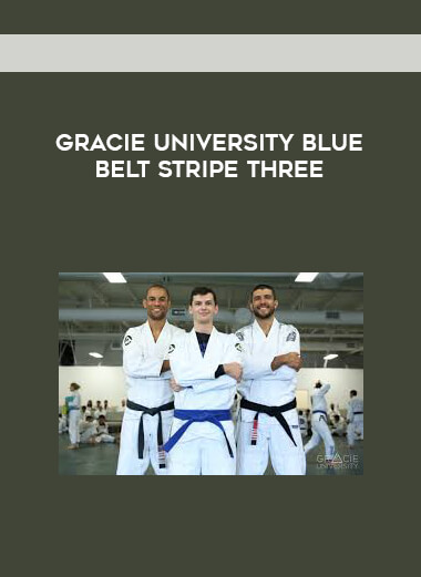 Gracie University Blue Belt Stripe Three digital download