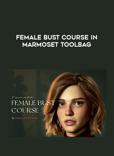 Female Bust Course in Marmoset Toolbag digital download