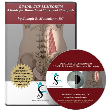 Quadratus Lumborum - A Guide for Manual & Movement Therapists digital download