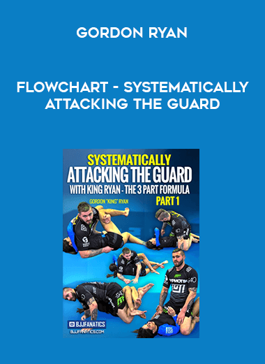 FlowChart - Systematically Attacking The Guard by Gordon Ryan digital download