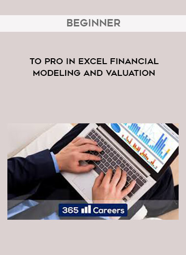 Beginner to Pro in Excel Financial Modeling and Valuation digital download