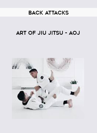 Back Attacks- Art of Jiujitsu- AOJ digital download