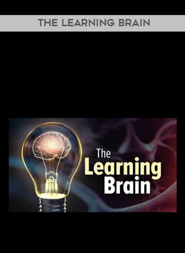 The Learning Brain digital download