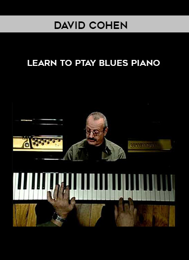 David Cohen - Learn To Ptay Blues Piano digital download