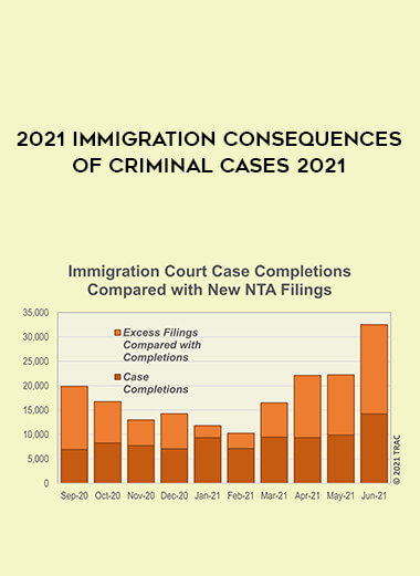 2021 Immigration Consequences of Criminal Cases 2021 digital download