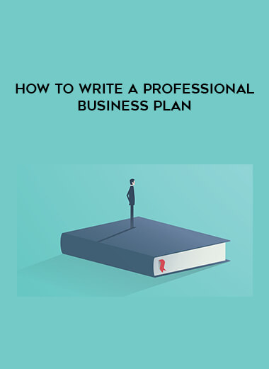 How to Write a Professional Business Plan digital download