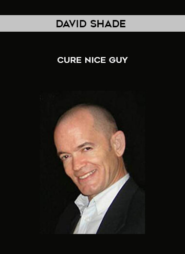 David Shade - Cure Nice Guy digital download