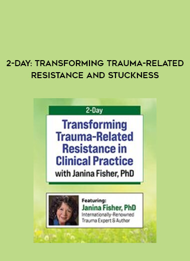 2-Day: Transforming Trauma-Related Resistance and Stuckness digital download
