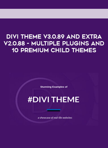 DIVI Theme v3.0.89 and Extra v2.0.88 - Multiple Plugins and 10 Premium Child Themes digital download