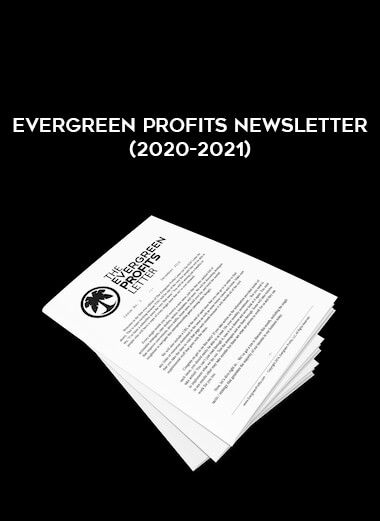 Hustle & Flowchart - Evergreen Profits Newsletter (2020-2021) digital download
