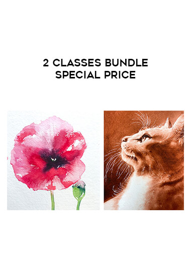 2 Classes BUNDLE Special Price digital download