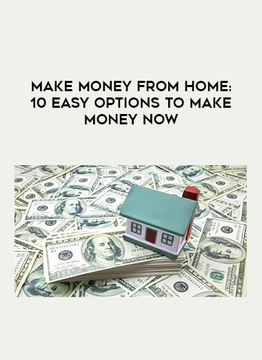 Make Money From Home: 10 EASY Options to Make Money Now digital download