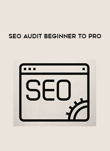 SEO Audit Beginner to Pro digital download