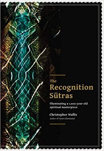 Christopher Wallis - The Recognition Sutras: Illuminating a 1