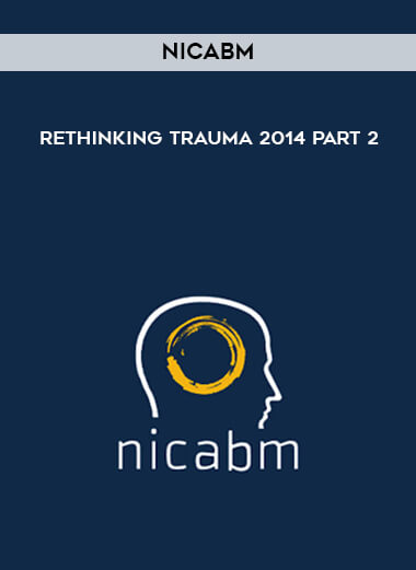 NICABM - Rethinking Trauma 2014 Part 2 digital download
