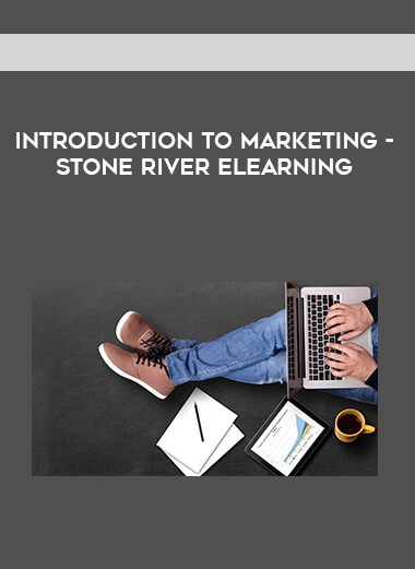 Introduction to Marketing - Stone River eLearning digital download
