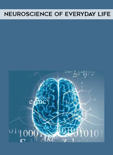 Neuroscience of Everyday Life digital download