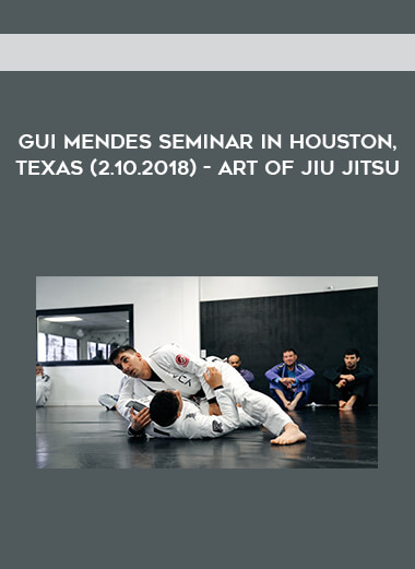 Gui Mendes Seminar in Houston