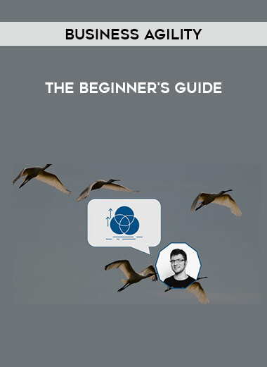 Business Agility - the Beginner's Guide digital download