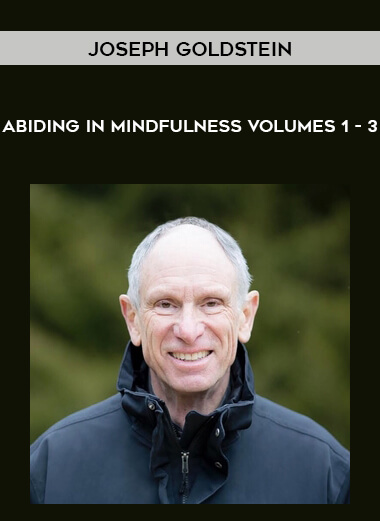 Joseph Goldstein - Abiding in Mindfulness Volumes 1 - 3 digital download