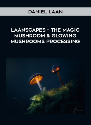 Laanscapes - The Magic Mushroom & Glowing Mushrooms Processing by Daniel Laan digital download