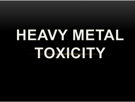 Heavy Metals Summit 2018 digital download