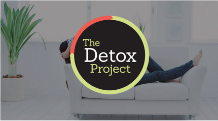The 2016 Detox Project Summit digital download