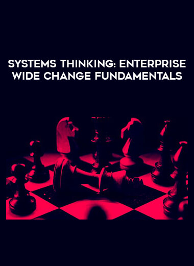Systems Thinking: Enterprise Wide Change Fundamentals digital download