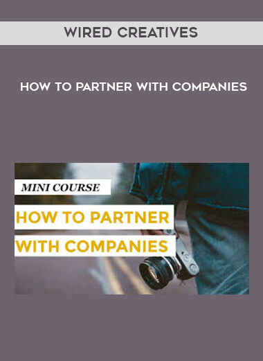 Wired Creatives - How to Partner with Companies digital download