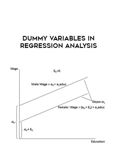 Dummy Variables in Regression Analysis digital download