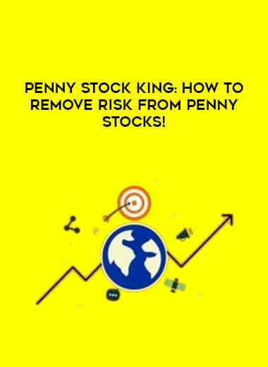 Penny Stock King: How to Remove Risk from Penny Stocks! digital download