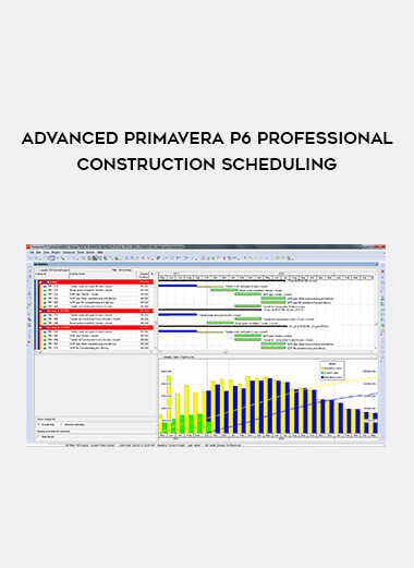 Advanced Primavera P6 Professional Construction Scheduling digital download