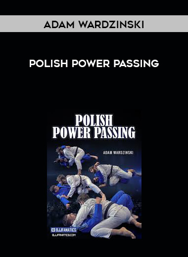 Polish Power Passing By Adam Wardzinski digital download