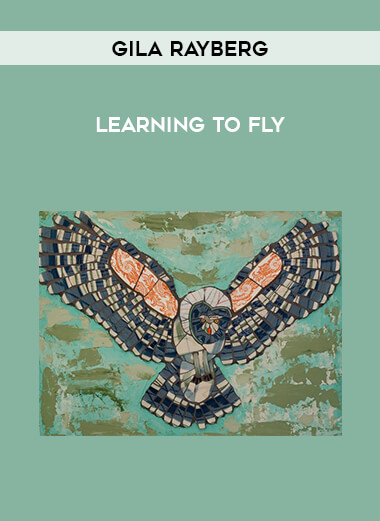 Gila Rayberg - Learning to Fly digital download