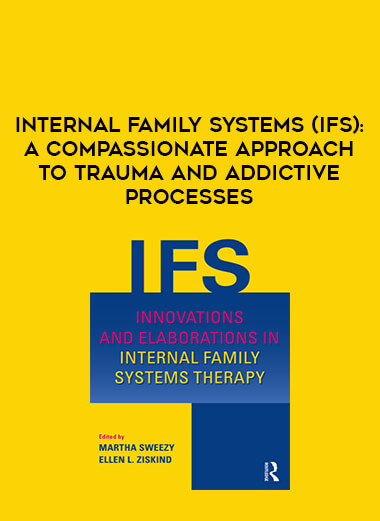Internal Family Systems (IFS): A Compassionate Approach to Trauma and Addictive Processes digital download
