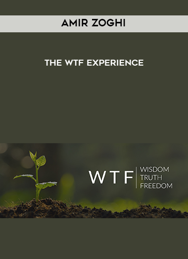 Amir Zoghi - The WTF Experience digital download